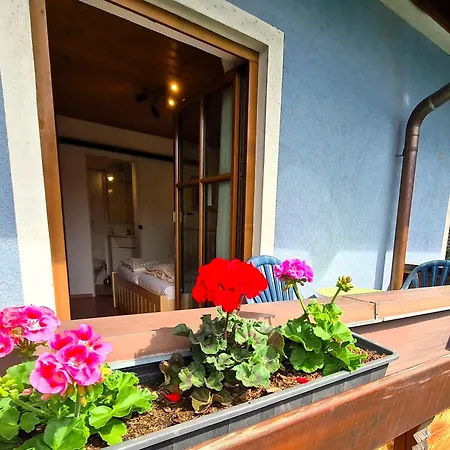 Pension Sydler Bad Goisern Exterior photo